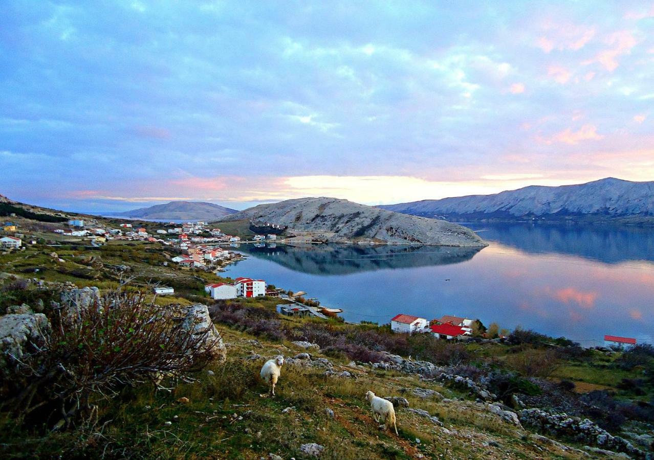 Apartmani Dalmatinka Metajna Esterno foto